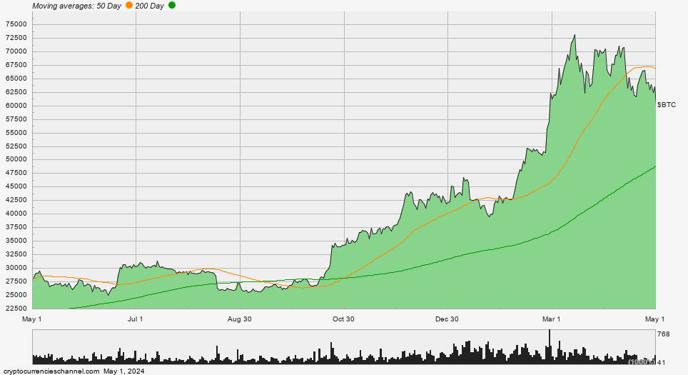 Bitcoin One Year Historical Price Chart