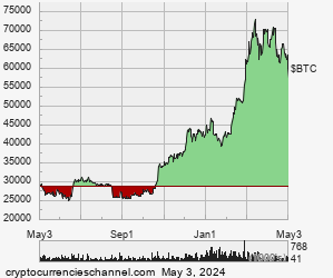 1 Year Bitcoin Historical Price Chart