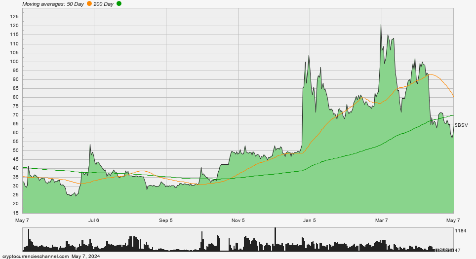 Bitcoin SV One Year Historical Price Chart