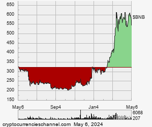 1 Year BNB Historical Price Chart